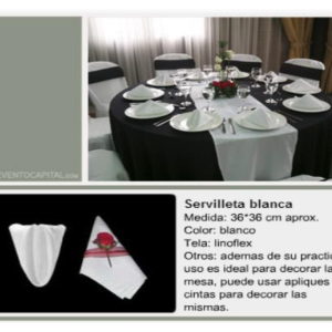 Servilleta blanca